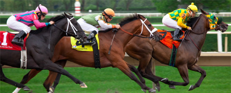 horse race tax